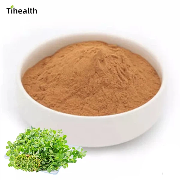 Purslane Extract